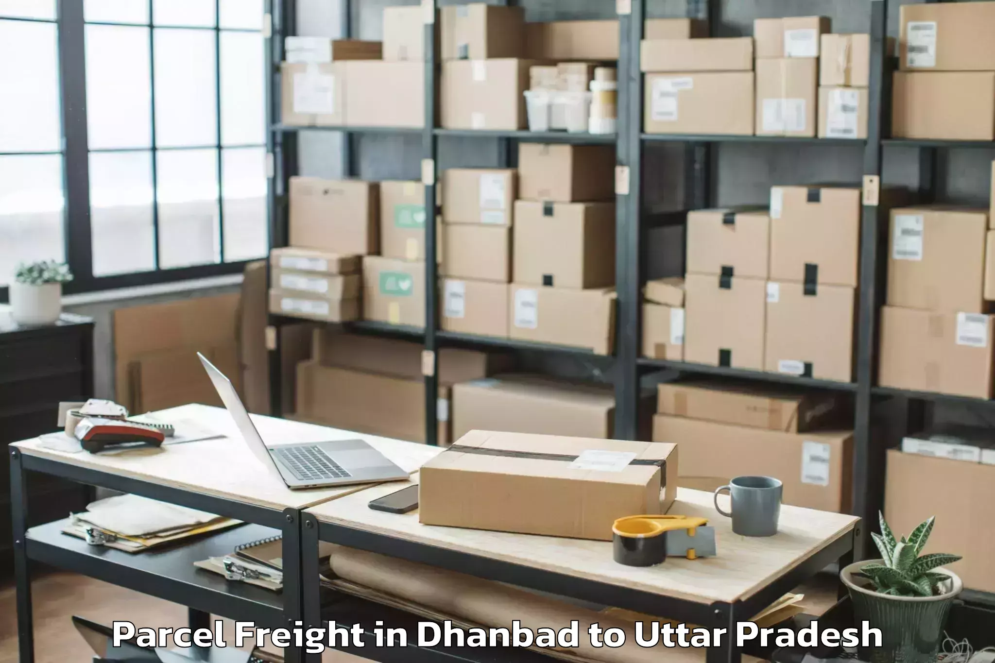 Book Dhanbad to Phoolpur Parcel Freight Online